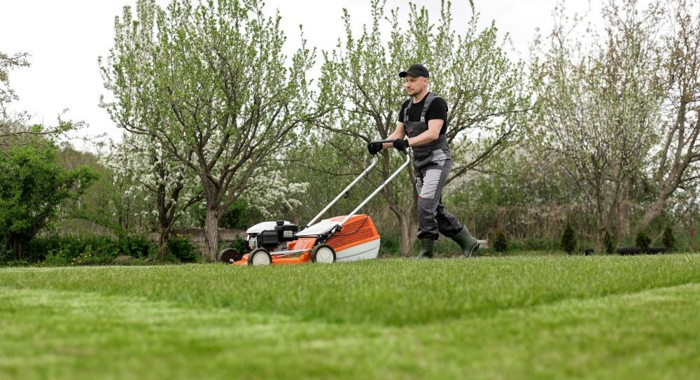 Landscape Contractors Honolulu Hi