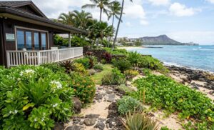 landscape contractors honolulu hi